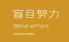 我不反對努力，但我反對盲目的努力